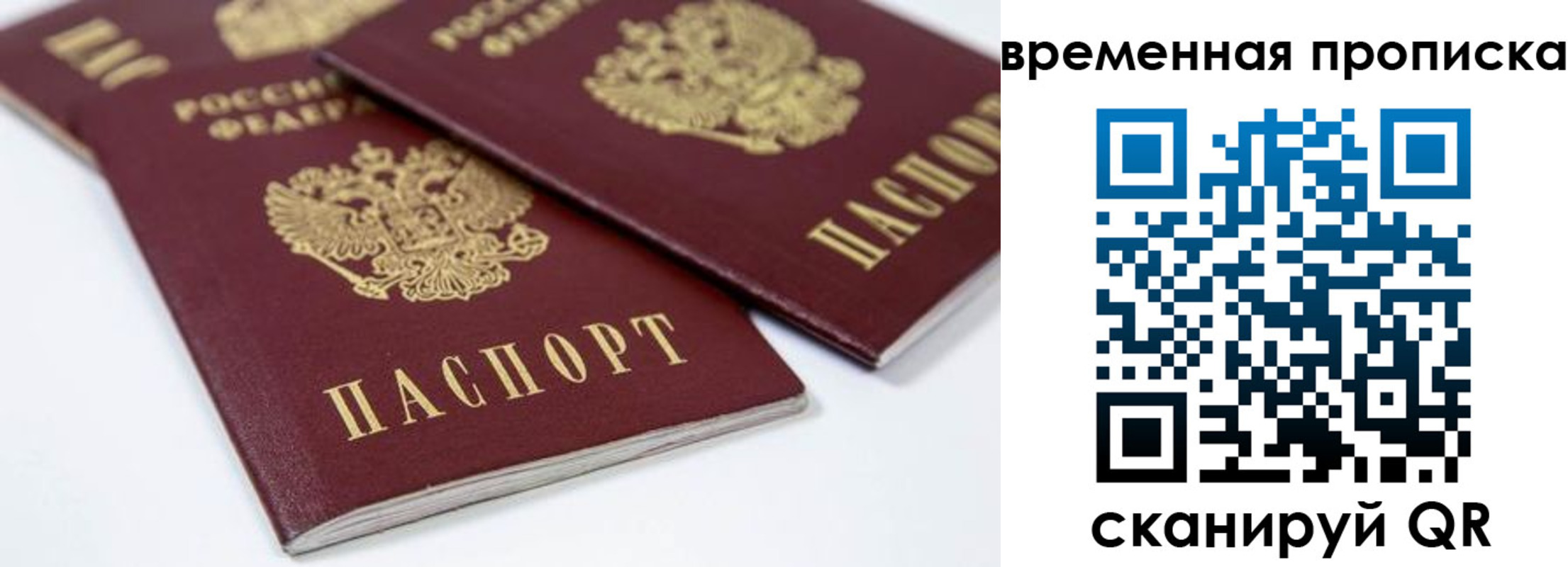 прописка для школы в Кольчугино